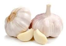 Bawang putih